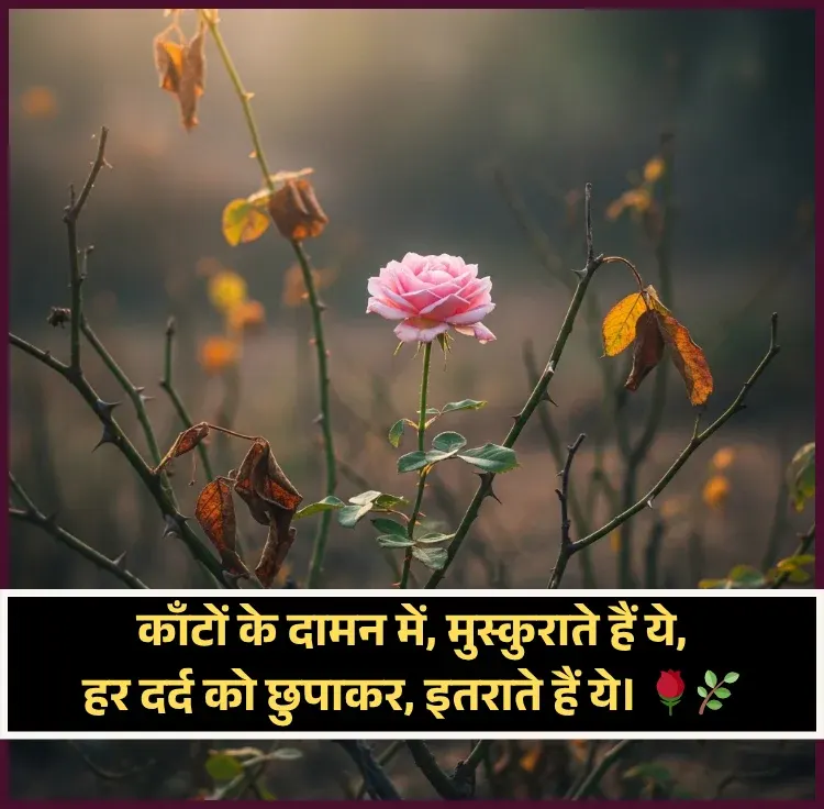 Flower Shayari